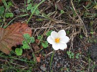 Rifugio_monte_Stornello - 20101031 035.jpg